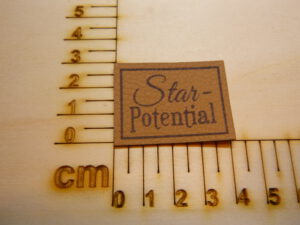 Kunstlederlabel "Star-Potential"
