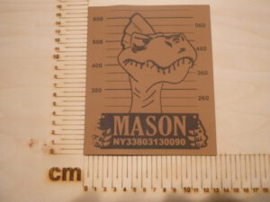 Kunstlederlabel "Dino" -- Mit eigenem Namen