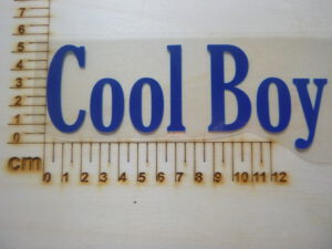 Plott "Cool Boy"#56015